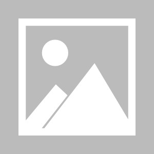 【早报】曾被全村嘲讽的全村希望，成了全村的保障！